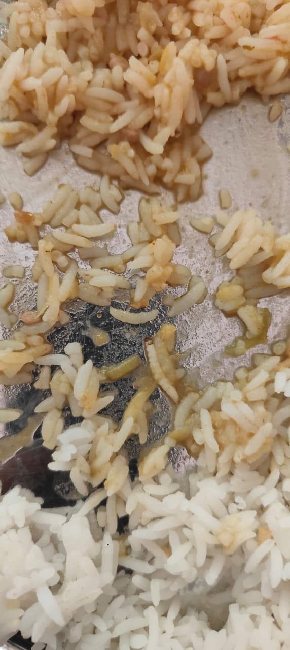 Students Stage Dharna on Finding Worms in Food at MGU Hostel Mess