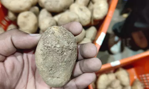 Unhygienic Conditions Detected at Groceries Warehouse in Kompally Unhygienic Conditions Detected at Groceries Warehouse in Kompally