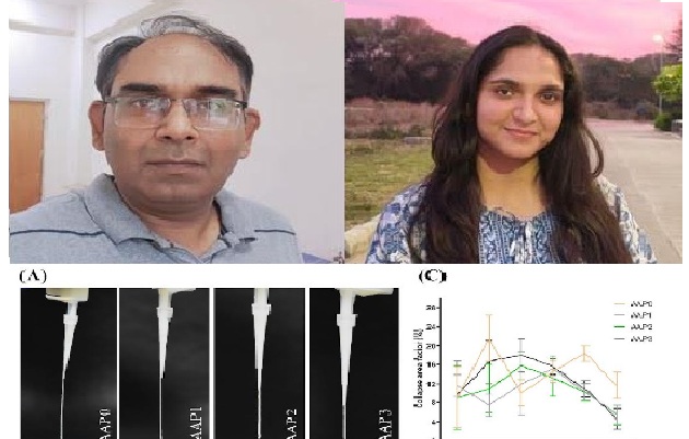 Rourkela: National Institute Of Technology Patents Advanced Bio-Ink For 3d Printing Of Tissue-Like Structures