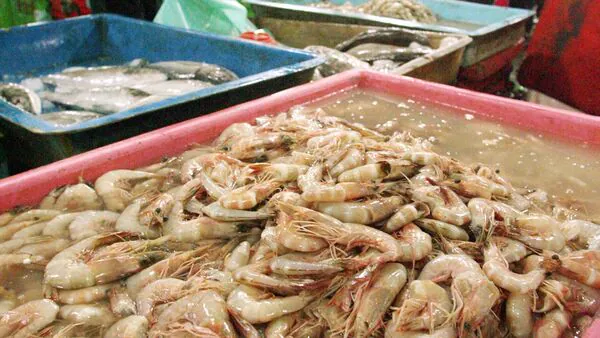 India’s Seafood Exports Hit Record at ₹72,000 Crore