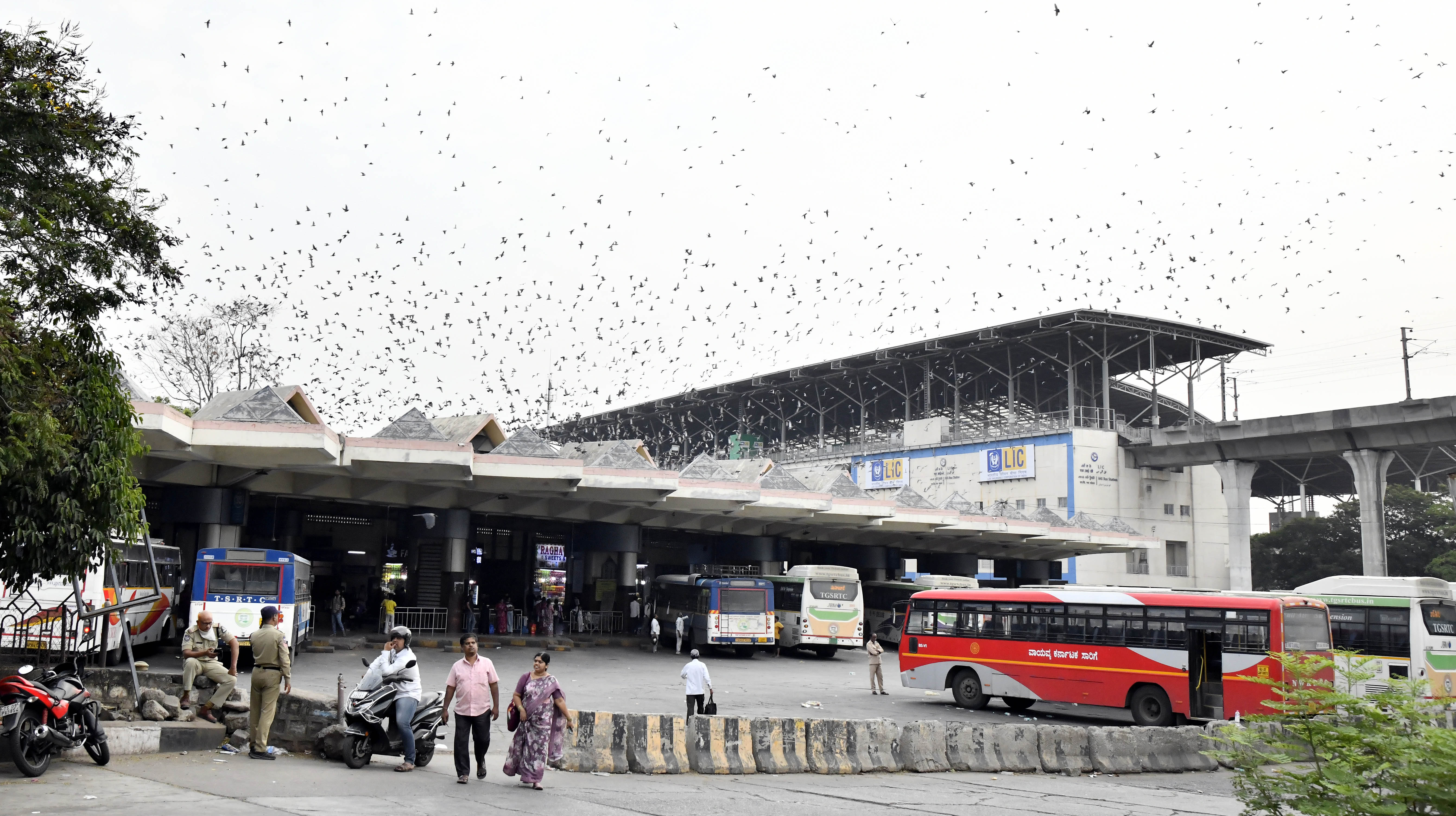 TGSRTC Strike: Buses Stay in Depots as Talks Fail