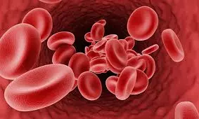 Free Genetic Tests Offer Hope To 150 Thalassemia Children In Nellore Free Genetic Tests Offer Hope To 150 Thalassemia Children In Nellore