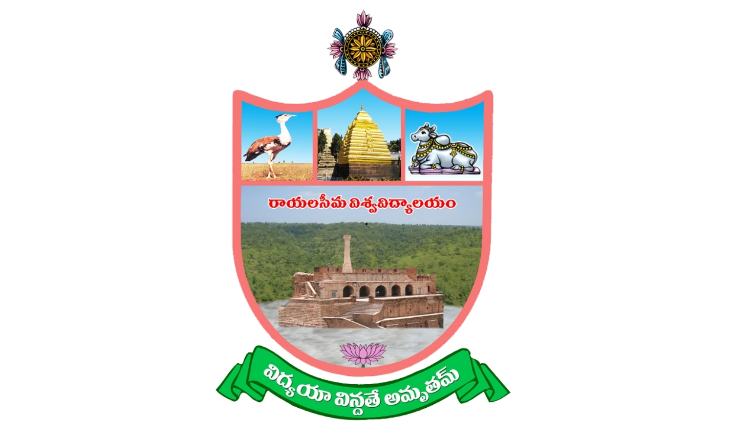 Rayalaseema University: Six Students Debarred For Malpractice in Degree Exams