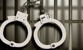 BRS Social Media Leader Krishank Among Nine Arrested