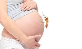 Doctors Warn of Malaria Risks in Pregnancy