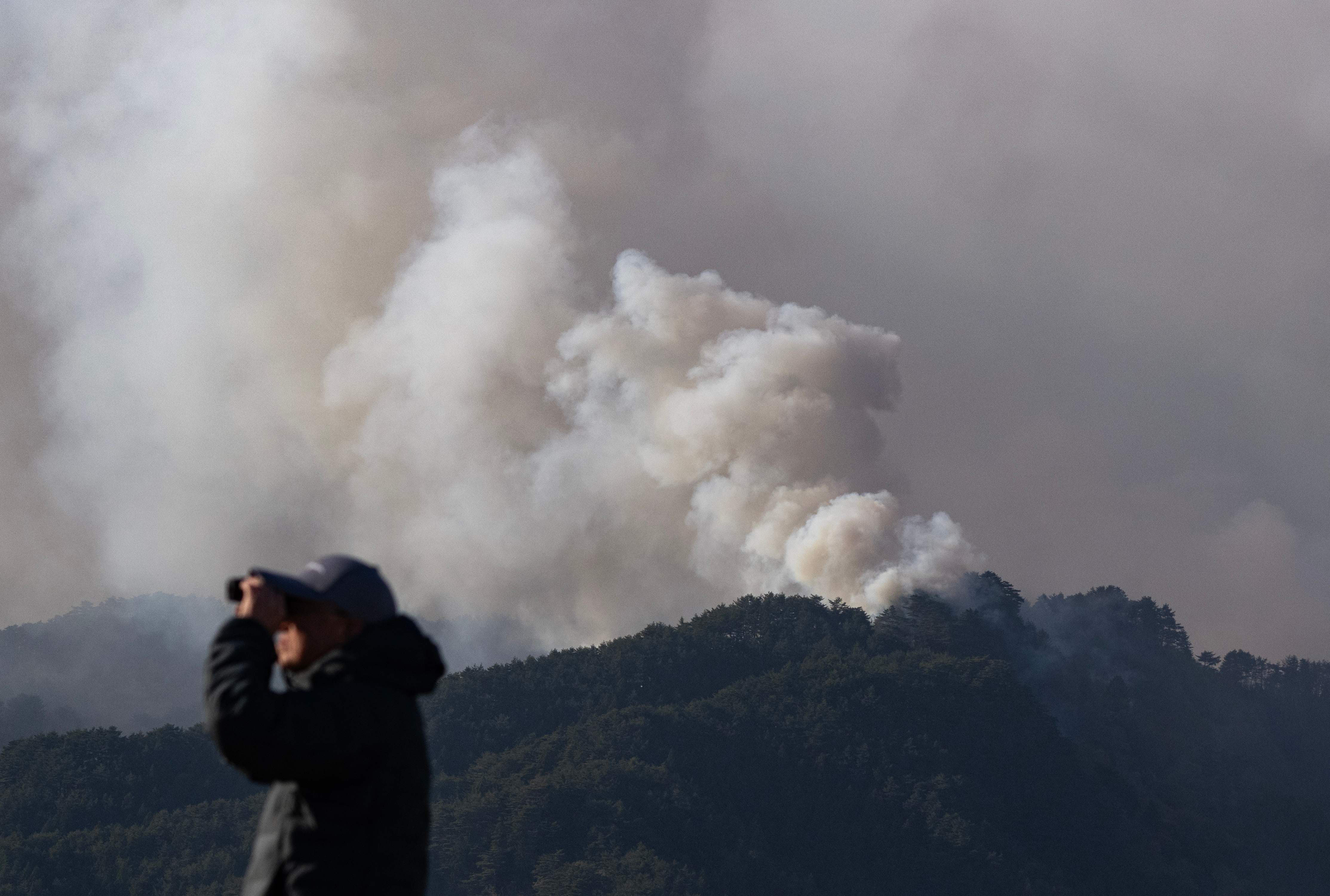 Northern Japan Wildfires Prompt Mass Evacuations as Flames Spread