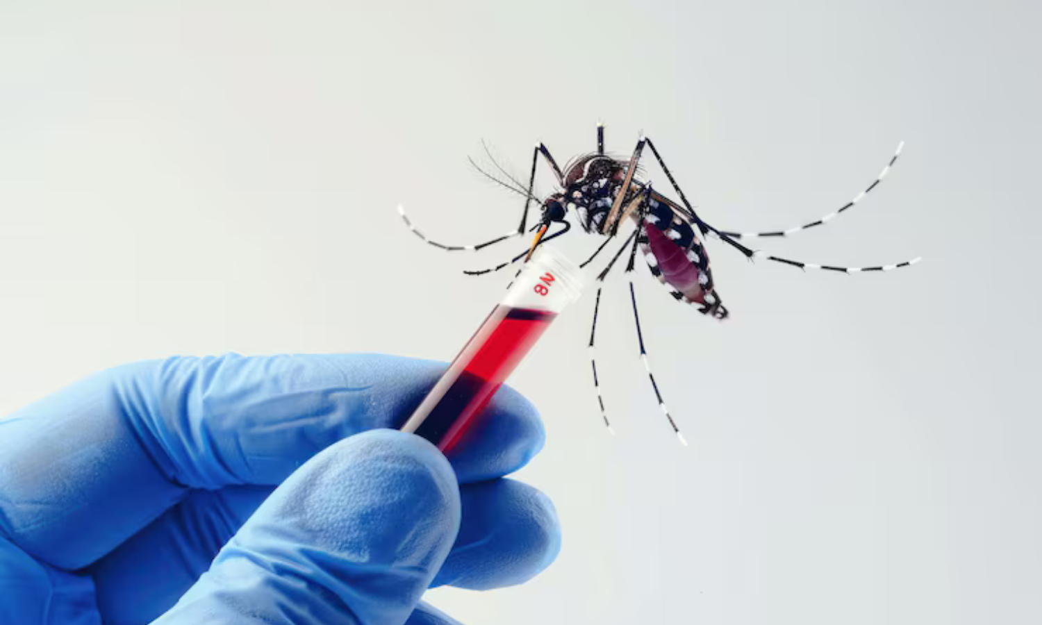 World Health Organization Approves First Malaria Treatment for Infants