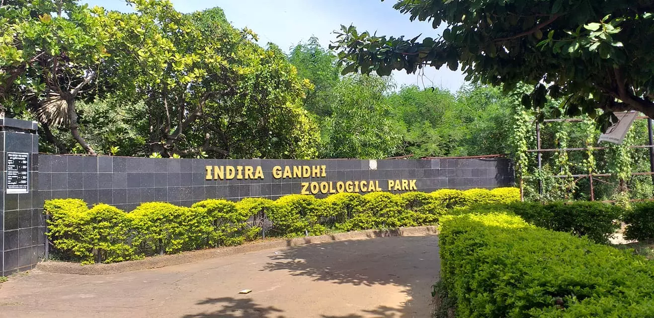 35 New Animals, Birds Born In Vizag Zoo 35 New Animals, Birds Born In Vizag Zoo