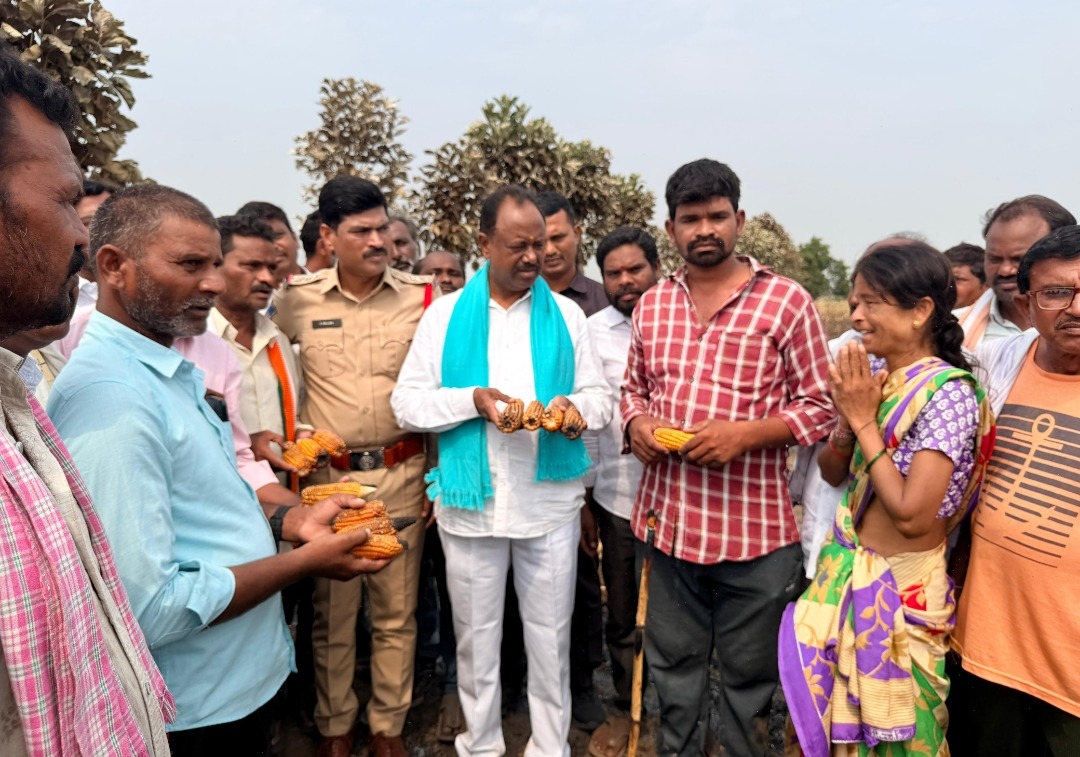 Short Circuit Of Low Electrical Wires Guts 70 Acres Of Maize In Bhupalpally