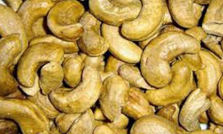 West Asia Conflict Cripples Srikakulam Cashew Industry