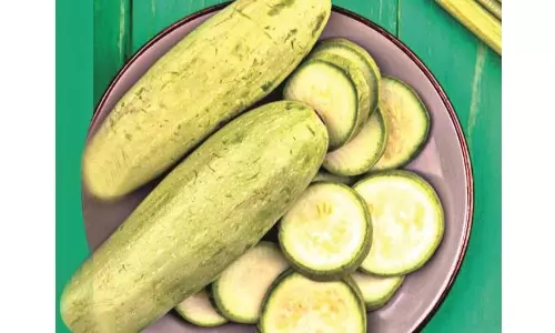 The Gourd-Ness of a Natural Body Cooler