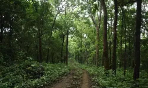 Suman Sahai|98% Shortfall in Green Mission & Deforestation Amid Climate Change Suman Sahai|98% Shortfall in Green Mission & Deforestation Amid Climate Change