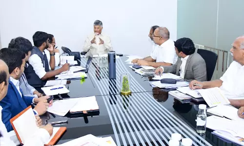 Chalk Out Plans to Reduce Electricity Purchase Charges: Naidu