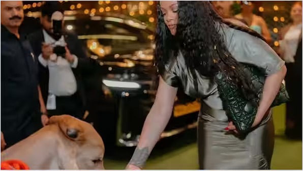 Rihanna Sparks Row With Luxury Handbag While Feeding Cows