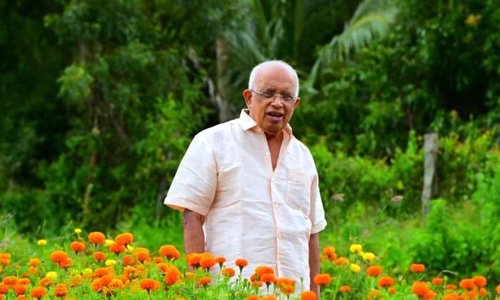 Kerala Set for 30-Min Power Cuts As Demand Spikes