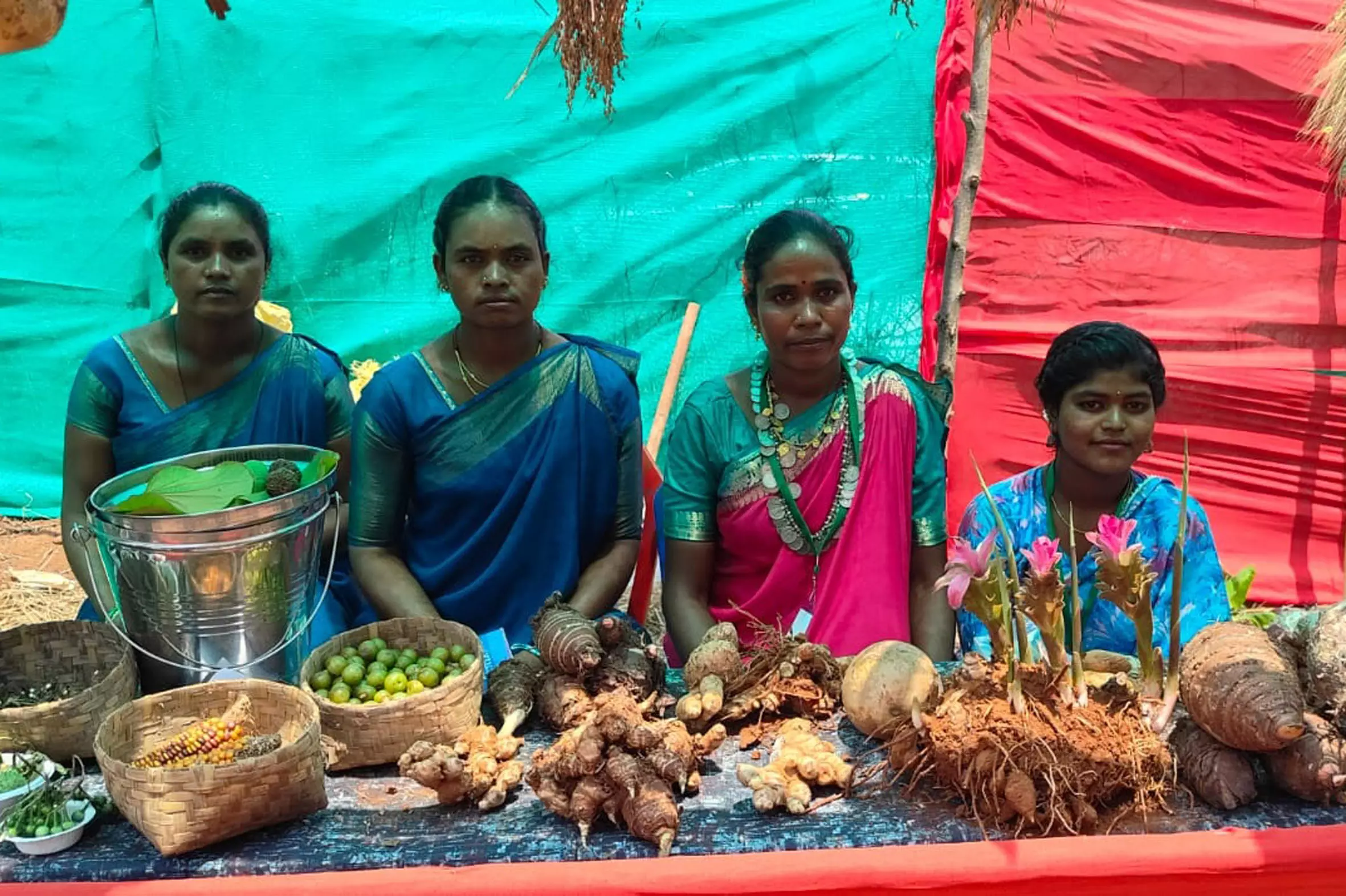 Traditional Seed Festival Celebrated With Fervour in Araku Traditional Seed Festival Celebrated With Fervour in Araku