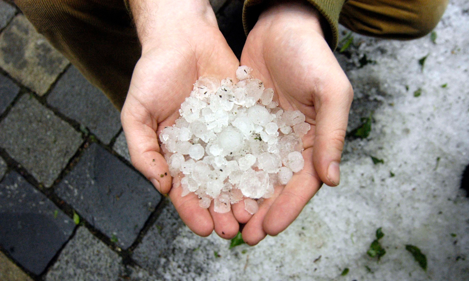 Hailstorm Hits Two Mandals in Nalgonda District