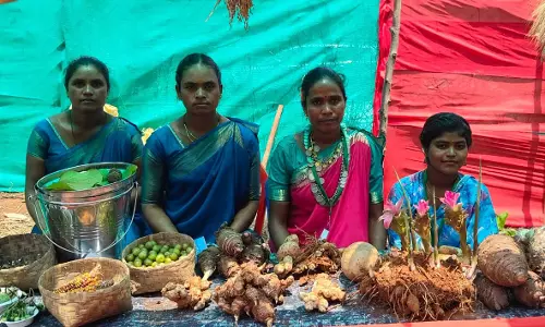 Traditional Seed Festival Celebrated With Fervour in Araku Traditional Seed Festival Celebrated With Fervour in Araku