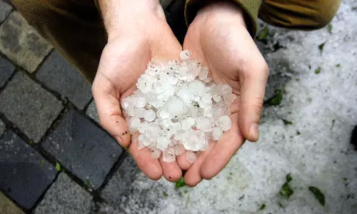 Hailstorm Hits Two Mandals in Nalgonda District Hailstorm Hits Two Mandals in Nalgonda District