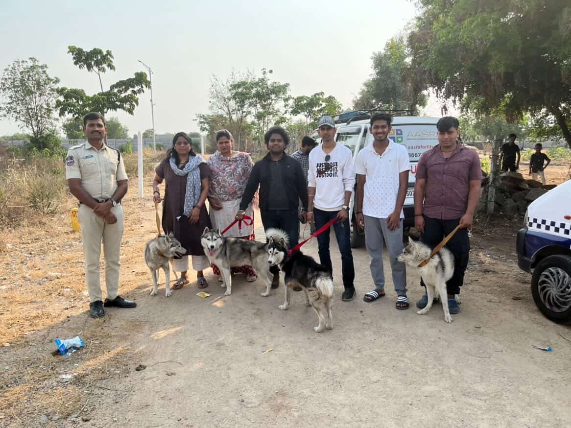 Mass Abandonment of Huskies in Hyderabad; Rescue Teams Save Six Dogs