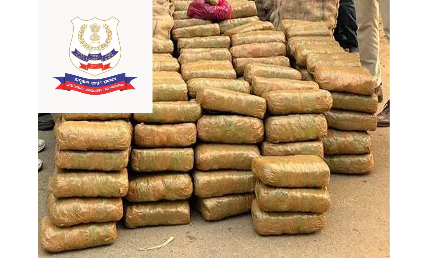 NCB, Telangana Police Bust Interstate Racket, Seize 200 Kg Ganja, 6 Arrested