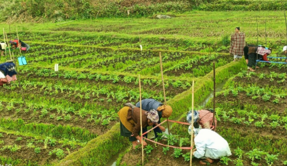 PCNF Emerges Global Finalist for Prestigious Food Planet Prize