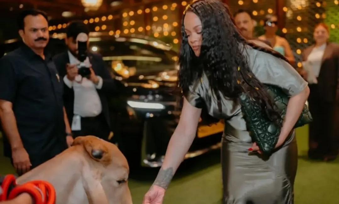 Exotic Skins, Lies & Limelight