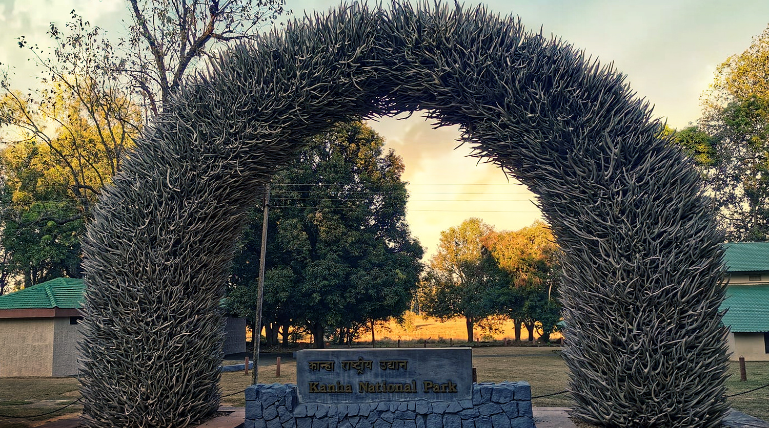 Tiger, Cub Die In Kanha Reserve; Toll In MP Rises To 27 This Year