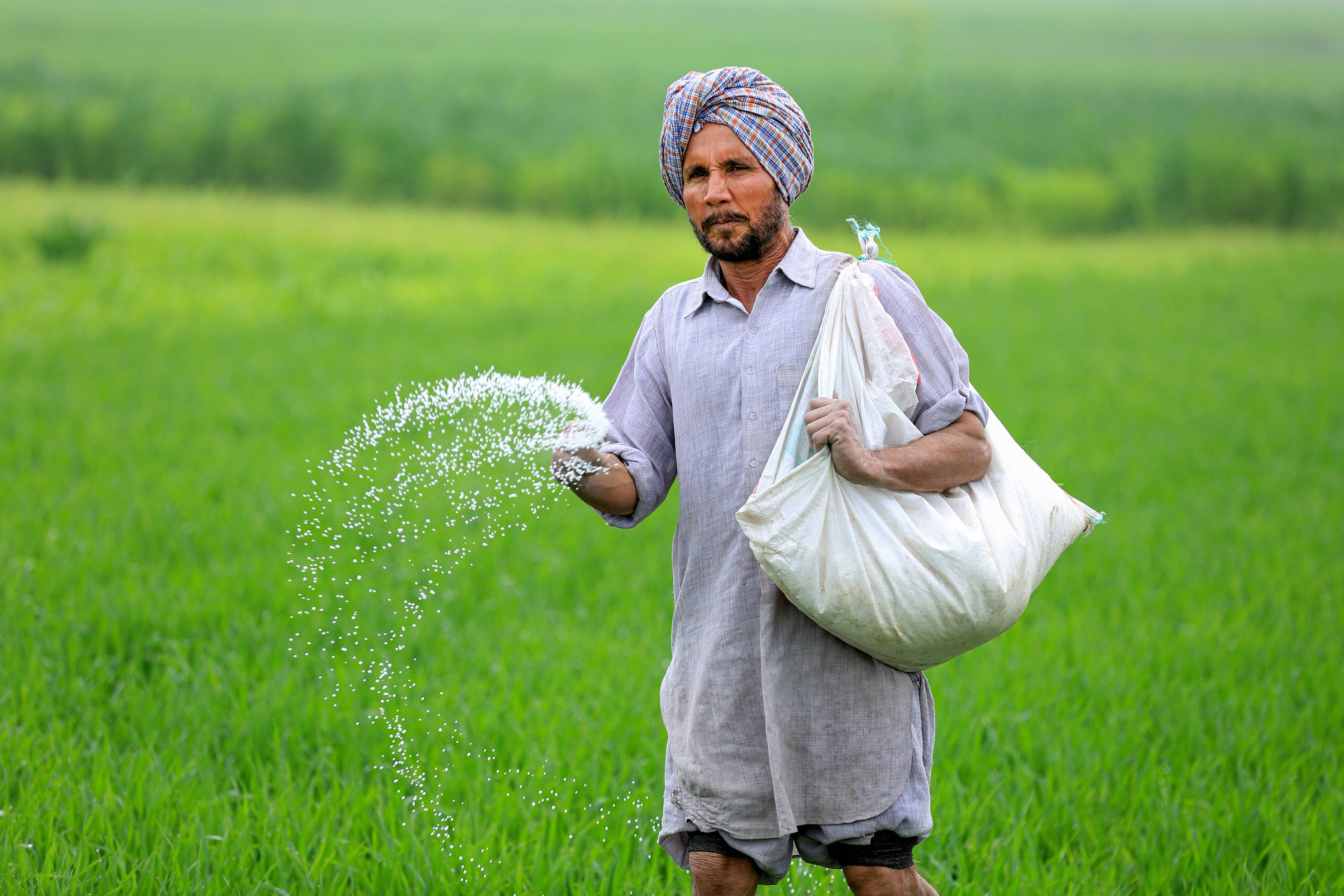 Fertiliser Output Steady Despite West Asia Crisis; Govt Secures 37 Lac Ton Urea Imports for Kharif