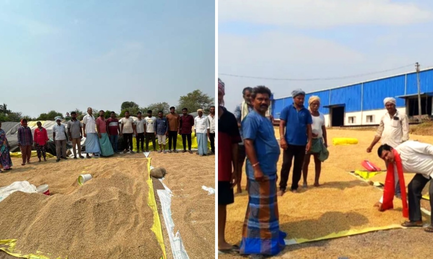 Procurement Delays Leave Farmers Stranded Despite Bumper Harvest in Warangal