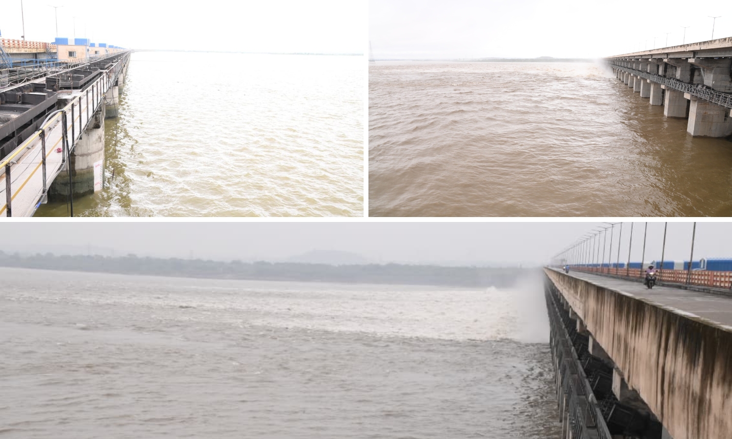 Telangana's ₹100-Cr Aqua Park Near Yellampalli Reservoir to Boost Fisheries
