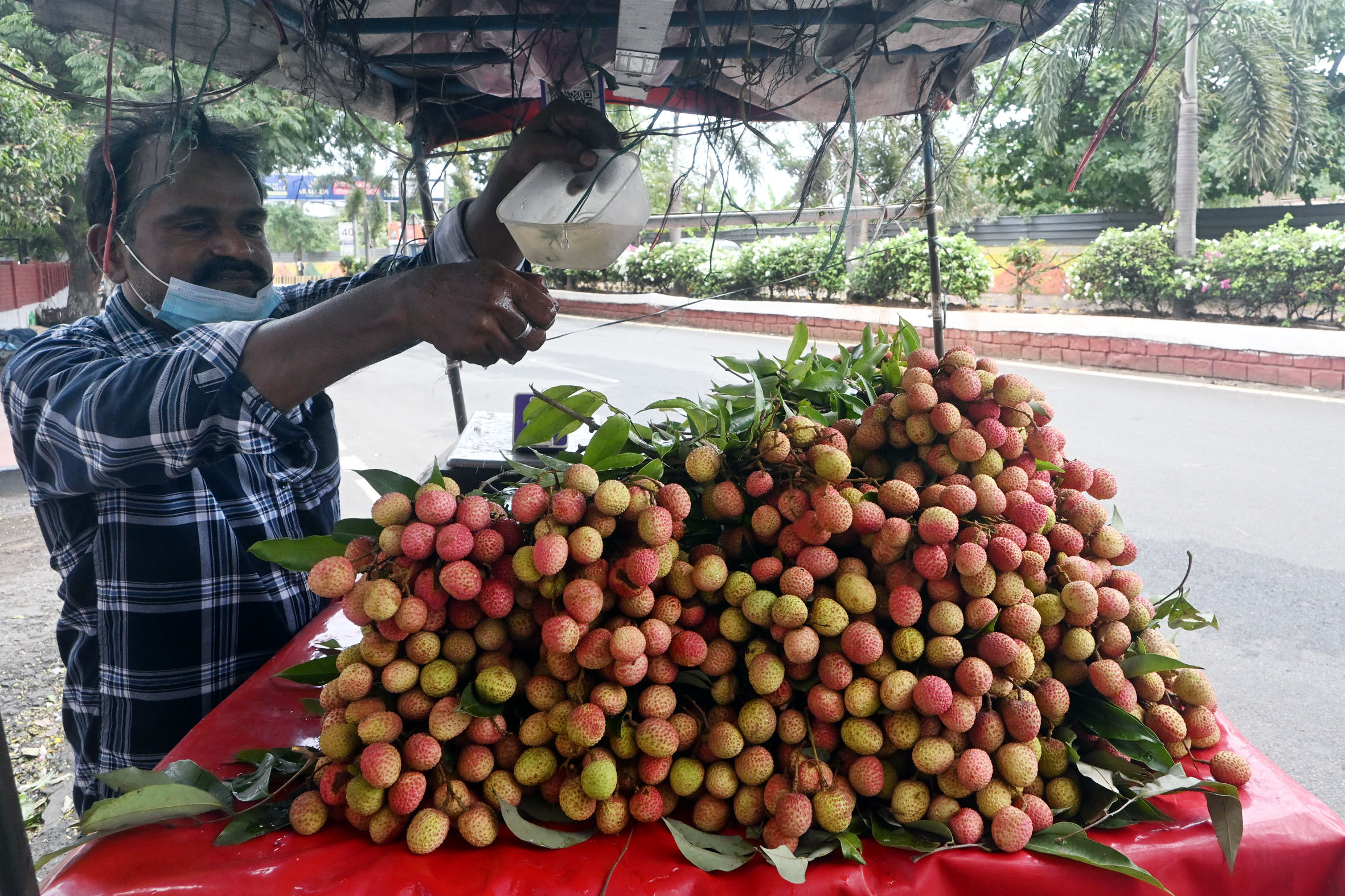 Lychee Prices Scorching The Fruit’s Enthusiasts in Vizag