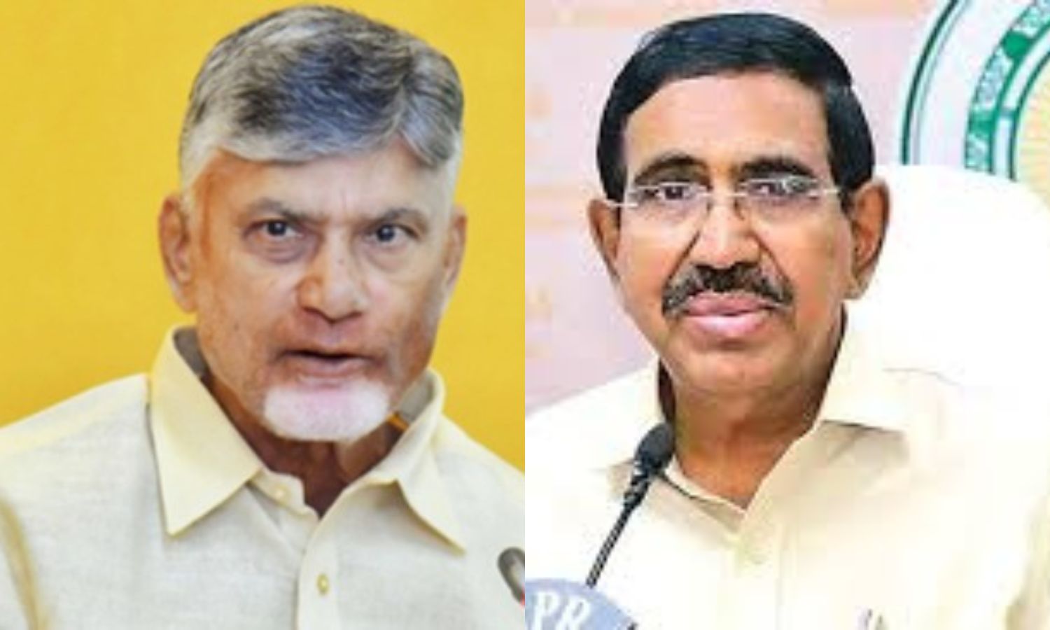 AP Neta Natter | Beauty of CM’s Home, And The Beast