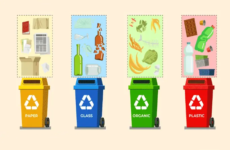 Telangana Govt Sets Up State, District Panels to Enforce New Solid Waste Rules