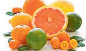 Zesty Summer Essentials