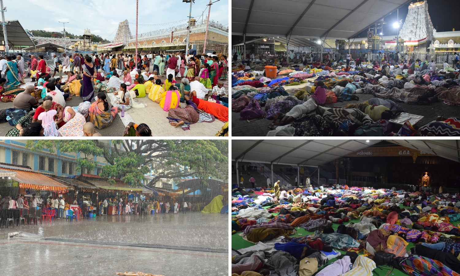 Tirumala Sees Surge in Pilgrims; Hundi Hits ₹3.37 Crore