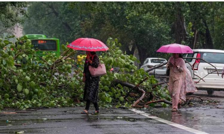 Storms, Gusty Winds Hit Nellore; Power Outages Reported