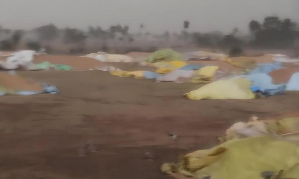 Sudden Storm in Nalgonda District Damages Crops, Houses; Uproots Trees