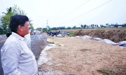 Tenant Farmer Killed in Lightning As Unseasonal Rain Lashes Godavari Districts Tenant Farmer Killed in Lightning As Unseasonal Rain Lashes Godavari Districts