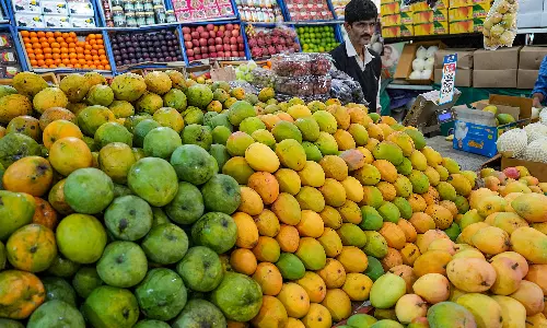 Food Safety Officers Warn Mango Farmers Against Carbide Use Food Safety Officers Warn Mango Farmers Against Carbide Use