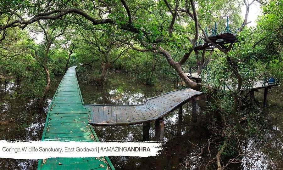 Human Rights Forum Seeks Halt to AP Water Aerodrome Projects