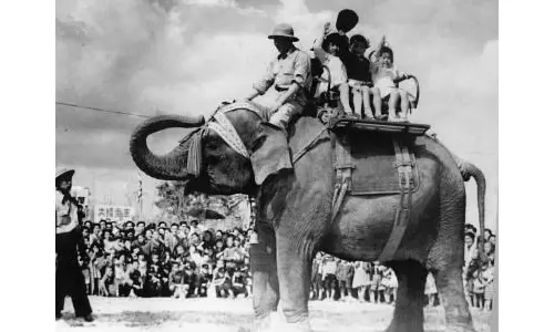 Indian Childrens Jumbo Gift That Brought Joy To Japan Post World War 2