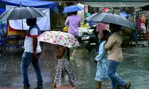 Rain Fury: Retaining Wall Collapses