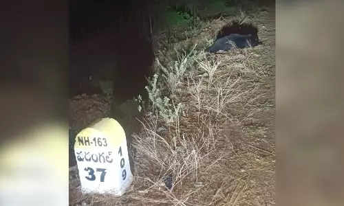 Speeding Vehicle Runs Over Sloth Bear on NH-163 in Jangaon Speeding Vehicle Runs Over Sloth Bear on NH-163 in Jangaon