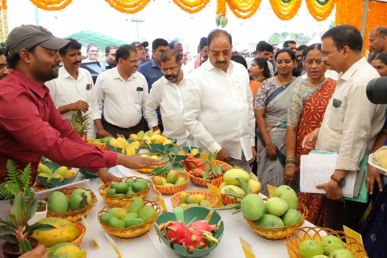 Congress did more for farmers in 2 years than BRS did in 10 years: Tummala Congress did more for farmers in 2 years than BRS did in 10 years: Tummala