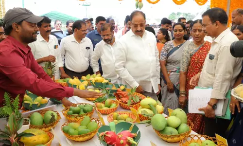 Congress did more for farmers in 2 years than BRS did in 10 years: Tummala Congress did more for farmers in 2 years than BRS did in 10 years: Tummala