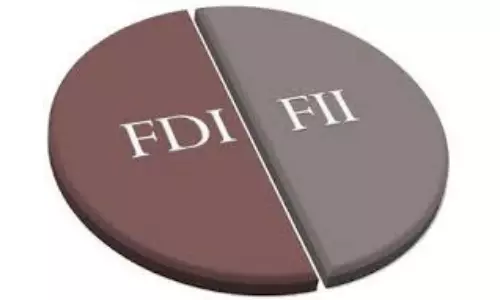 Net FII, FDI At Multi-year Low
