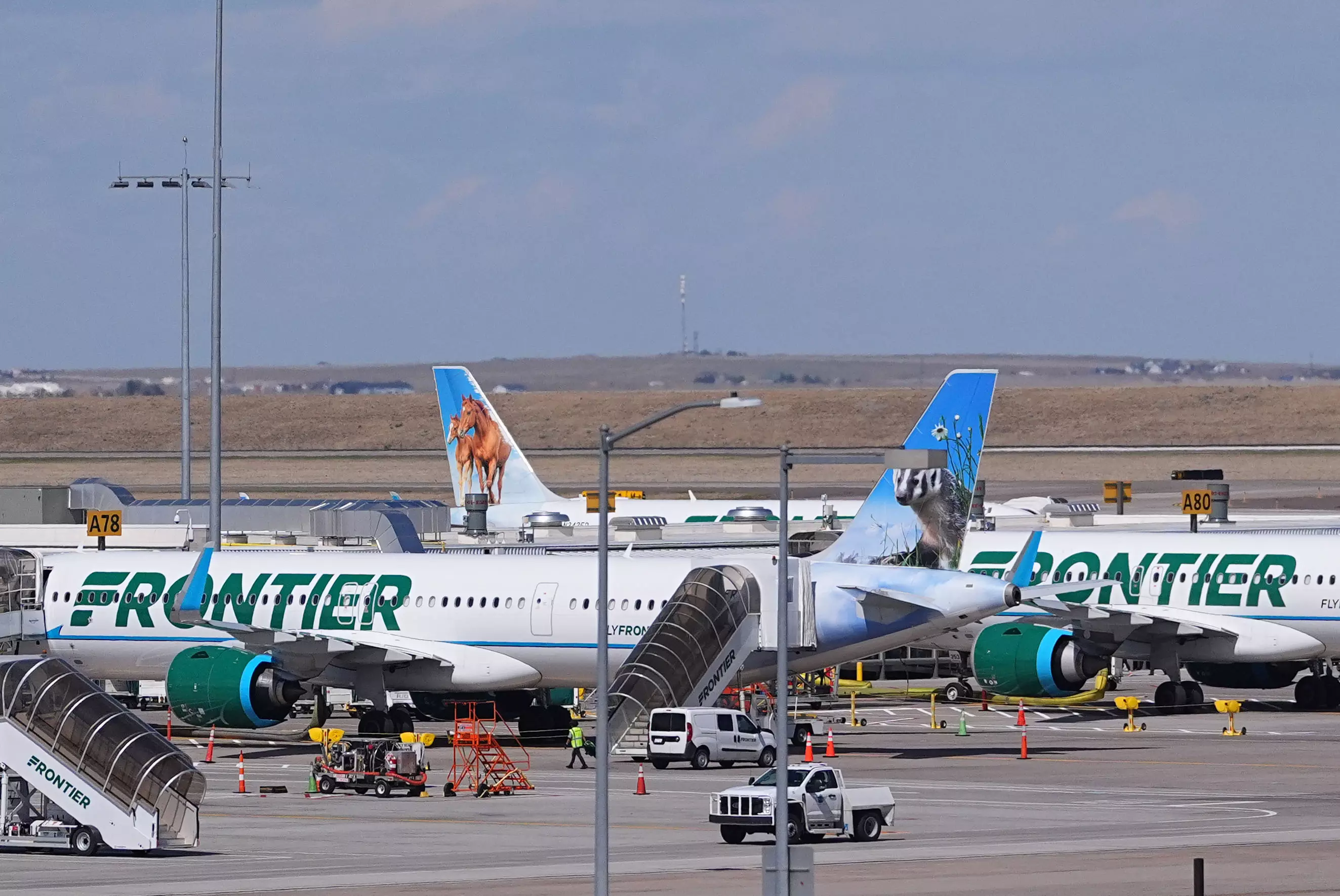 Person Dies After Being Hit by Frontier Plane During Takeoff at Denver Airport Person Dies After Being Hit by Frontier Plane During Takeoff at Denver Airport