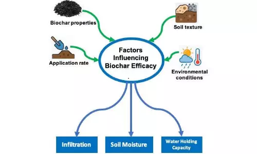 Nagaland University Develops Biochar-Based Solution to Improve Soil Moisture, Crop Productivity