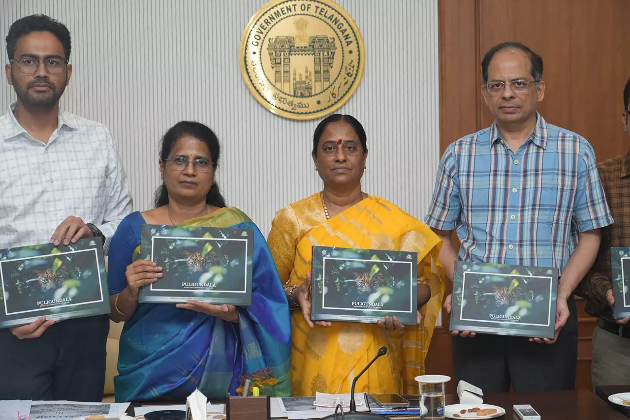 Irrigation Says OK to Ramsar Status for Manjeera Reservoir
